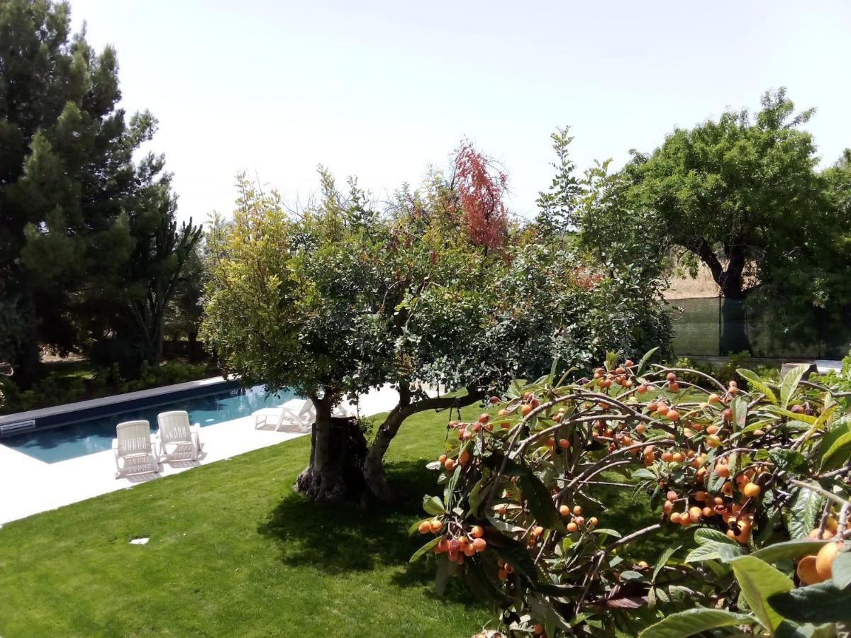 罗索利尼Zacchitella Garden House别墅 外观 照片